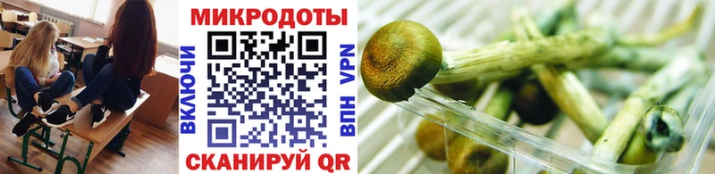 Псилоцибиновые грибы Psilocybine cubensis  Купить  Красный Сулин 